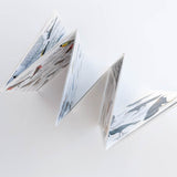 Local Birds Pocket-Guide: Santa Barbara—an accordion-folded, illustrated bird guide shown on a white surface.