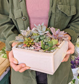 A person holds the Medium Succulent Planter, a rectangular ceramic container filled with vibrant succulents and small pebbles.