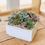 The Medium Succulent Planter, a white ceramic pot with vibrant succulents, sits on a wooden surface illuminated by gentle natural light.