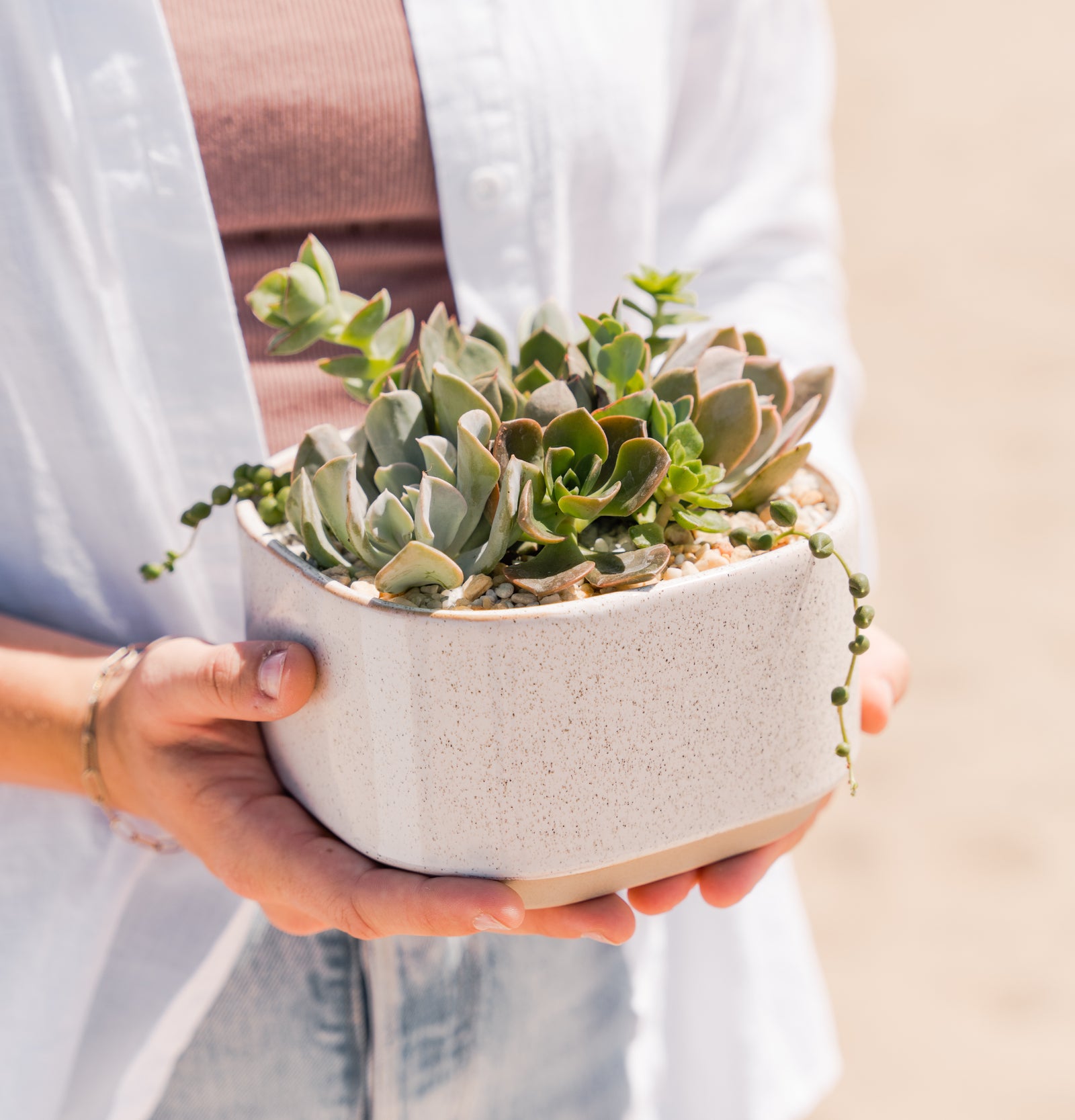 Medium-Succulent-Planter-Santa