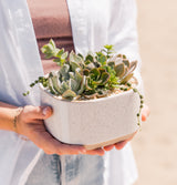 A person in a white shirt holds the Medium Succulent Planter, a rectangular ceramic container filled with assorted green succulents and small pebbles, set against a blurred outdoor background.