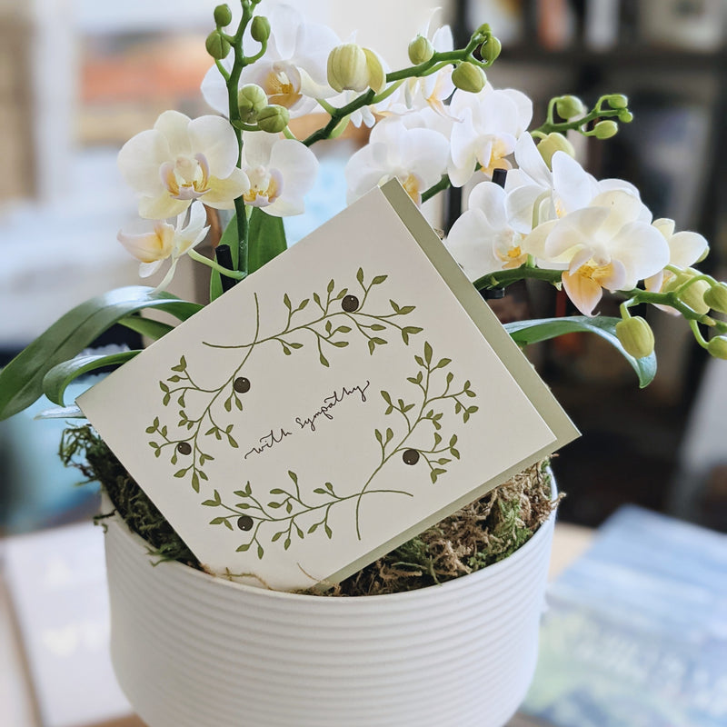 Sympathy Centerpiece Potted Orchid Arrangement