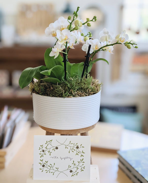 Sympathy Centerpiece Potted Orchid Arrangement