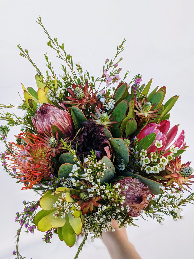 Protea Bouquet