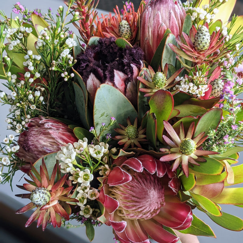 Protea Bouquet