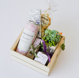 The Riviera Rosé & Succulent Gift Box features a can of Margerum Rosé, a chocolate bar, dried fruit, a mini succulent, and a wrapped treat with purple ribbon—beautifully presented for plant lovers.
