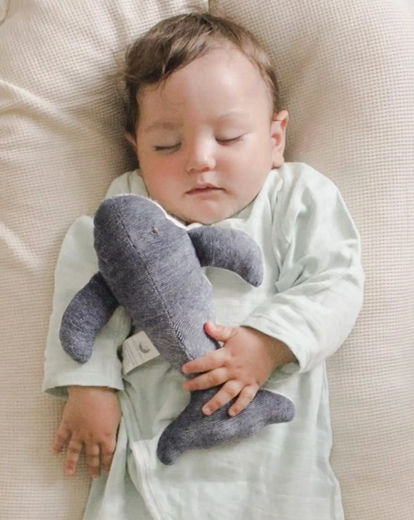 Sleeping child holding humphrey the whale toy