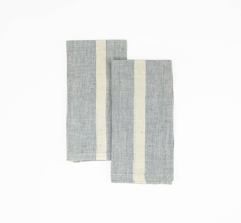 Organic Cotton Napkins in Blue (Set of 2)