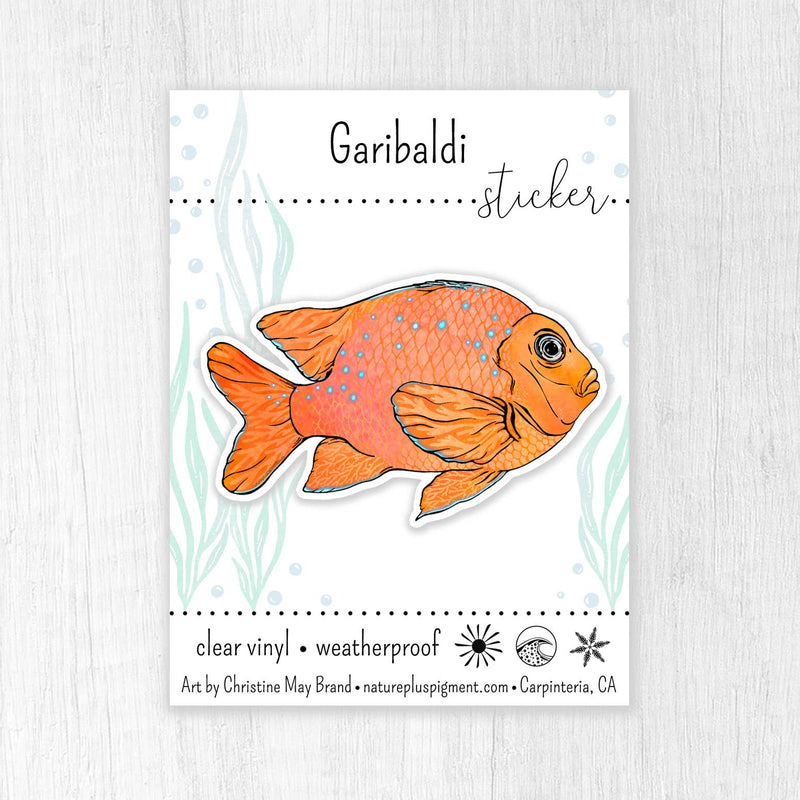 Garibaldi Fish Sticker