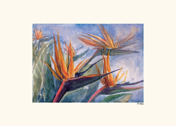 Bird of Paradise Note Card
