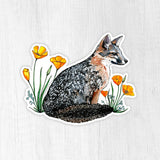 Channel Island Fox Sticker