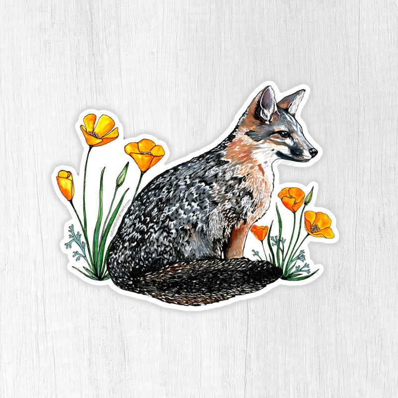 Channel Island Fox Sticker