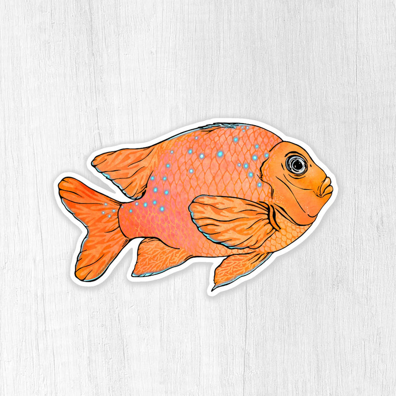 Garibaldi Fish Sticker