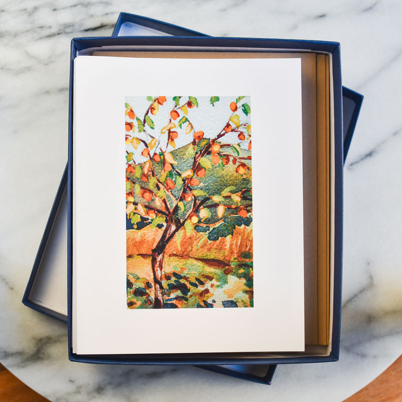 Santa Barbara Garden Note Cards Karin Shelton - Karin Shelton, The Santa Barbara Company - 2