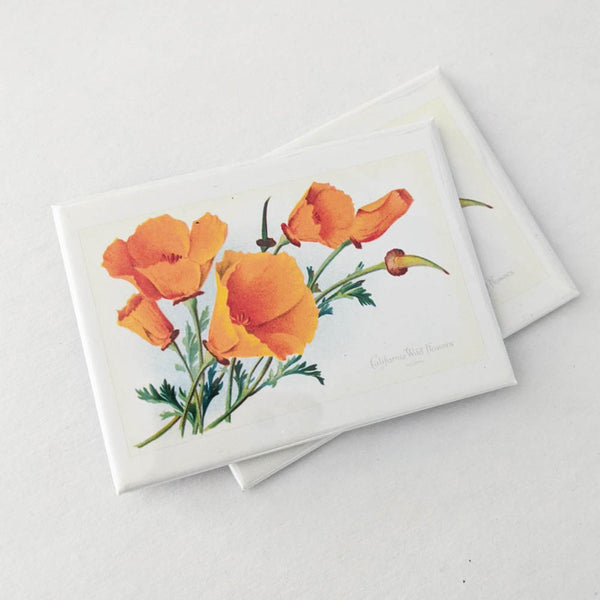 Vintage California Poppies Magnet