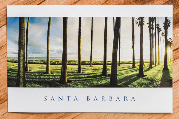 East Beach Palms Postcard Postcards - Lumino Press, The Santa Barbara Company