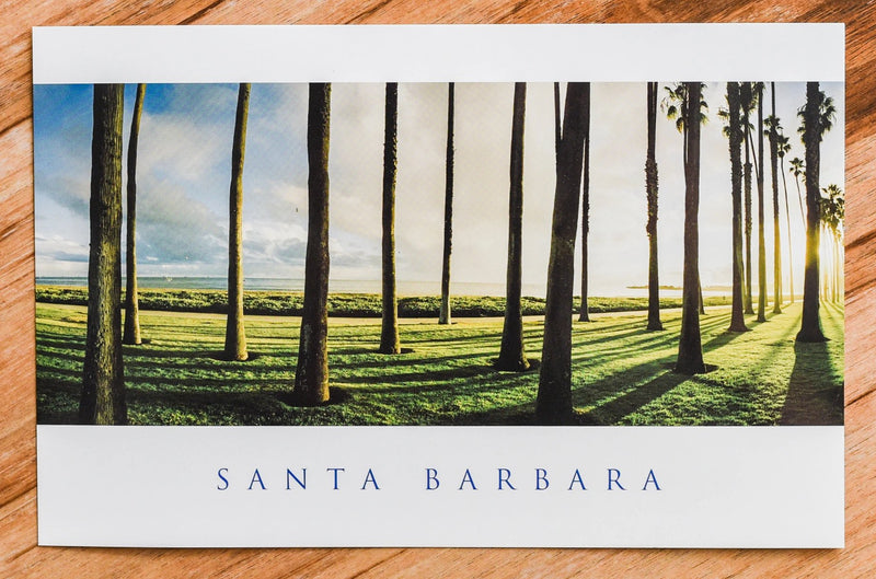 East Beach Palms Postcard Postcards - Lumino Press, The Santa Barbara Company