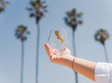 Santa Barbara Stemless Picnic Wine Glasses