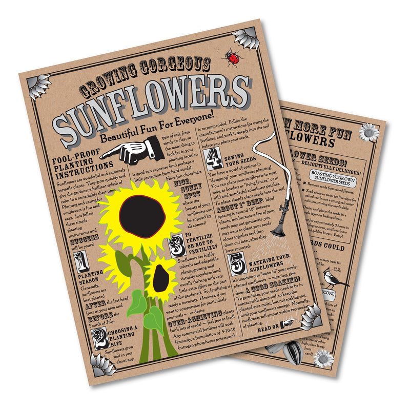 Sunflower Seed Grow Kit